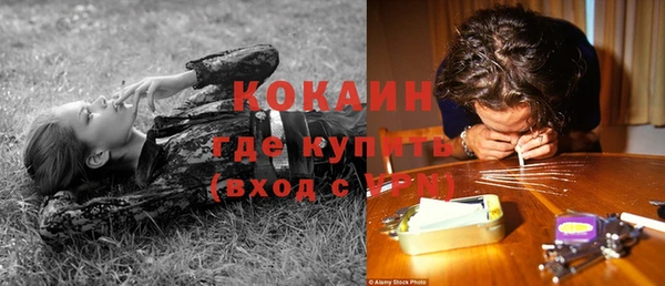 apvp Алексин