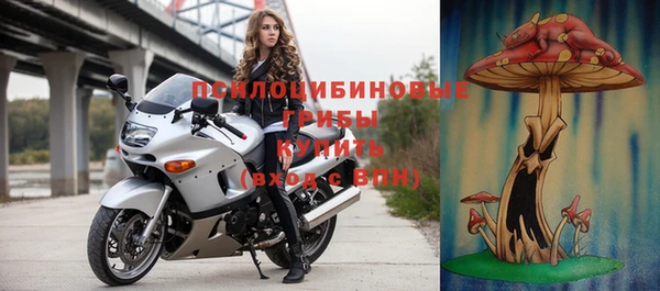 гашик Покров