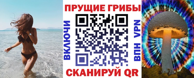 Галлюциногенные грибы MAGIC MUSHROOMS  где найти   Медынь 